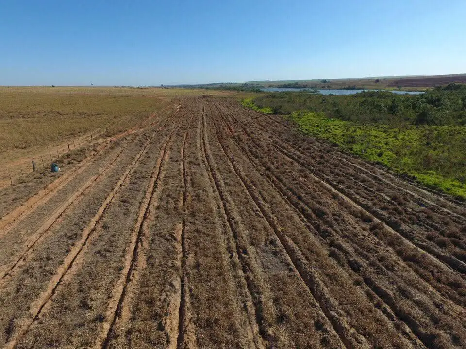 Área de cultivo levantada pela JGM — foto 5